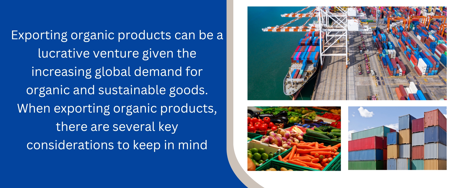 Export-Smart-Global-Service